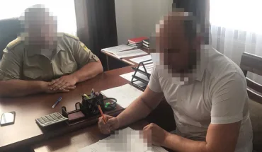 Понад 17 мільйонів збитків через вирубку лісу – ДБР повідомило про підозру посадовцю лісової охорони